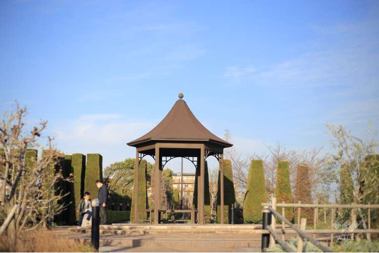 新池公園の写真