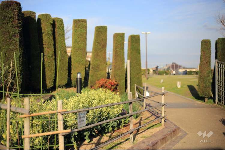 新池公園の写真