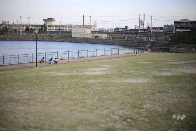 新池公園の写真