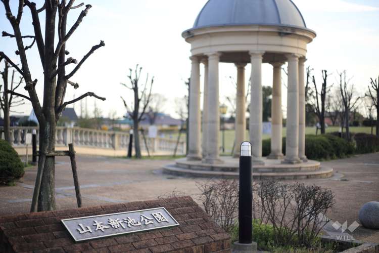 新池公園の写真