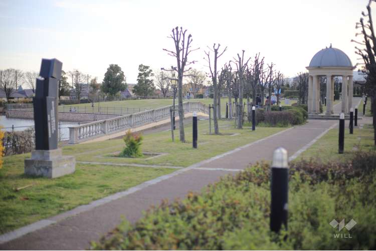 新池公園の写真