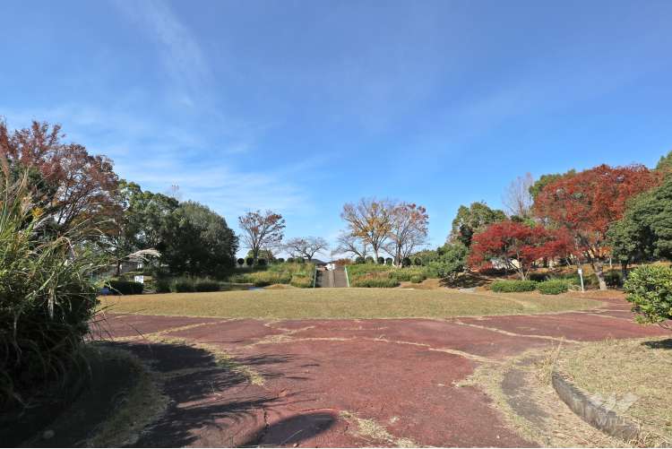 岩成公園の写真