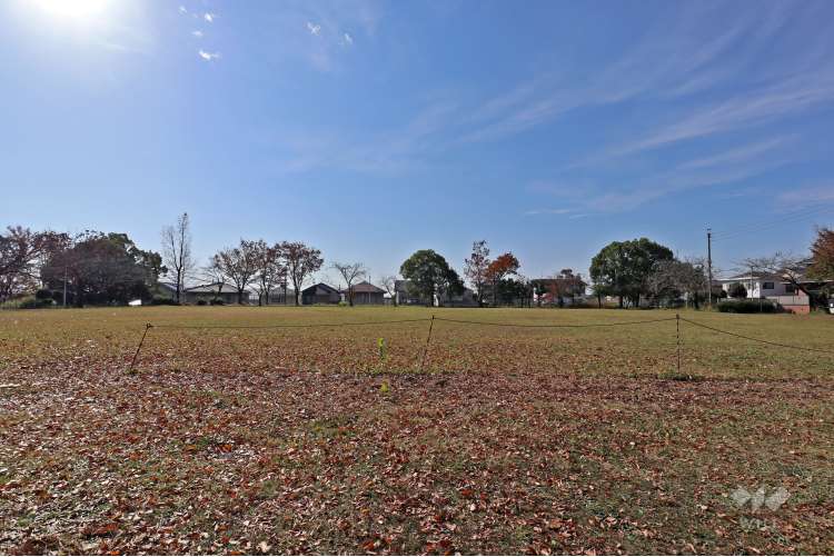 岩成公園の写真