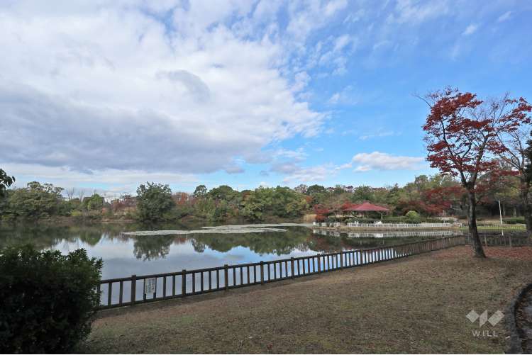 新池公園の写真