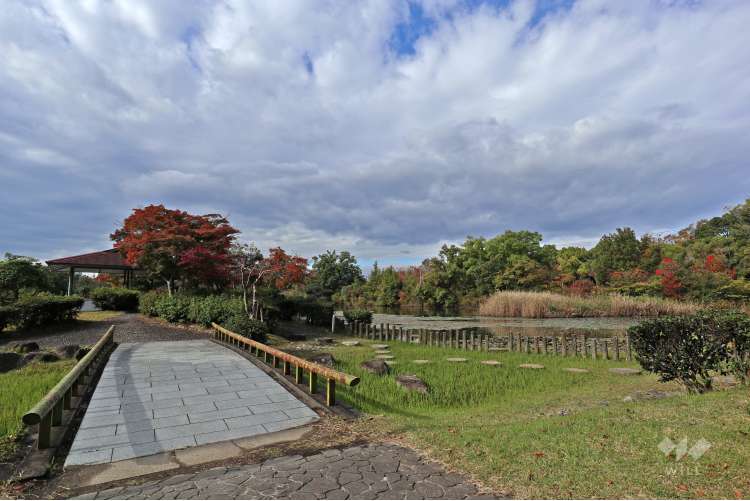 新池公園の写真
