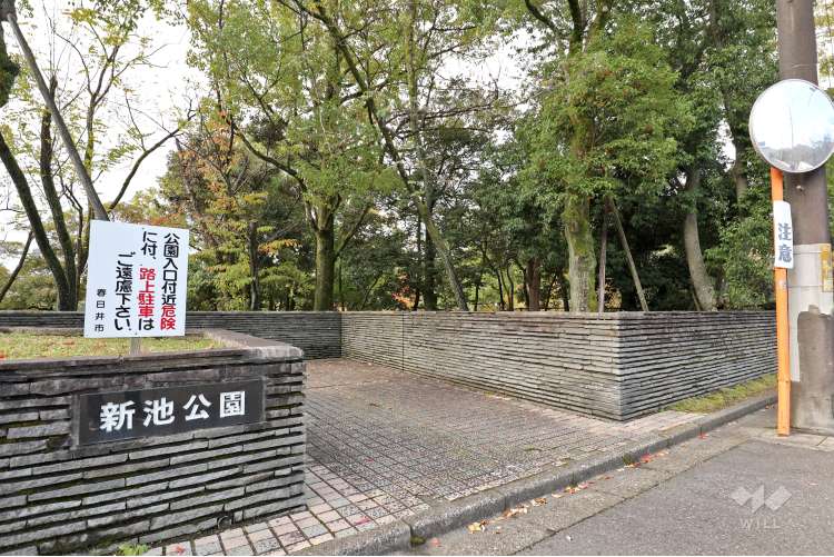 新池公園の写真
