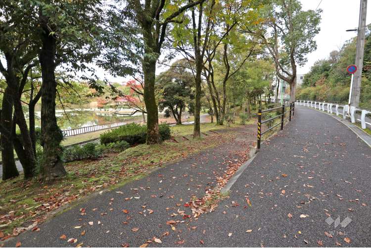 新池公園の写真