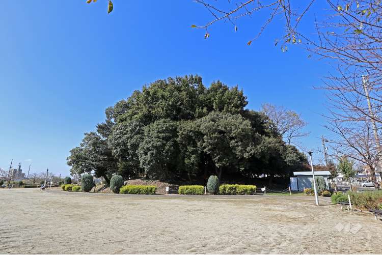 高御堂公園・高御堂古墳の写真
