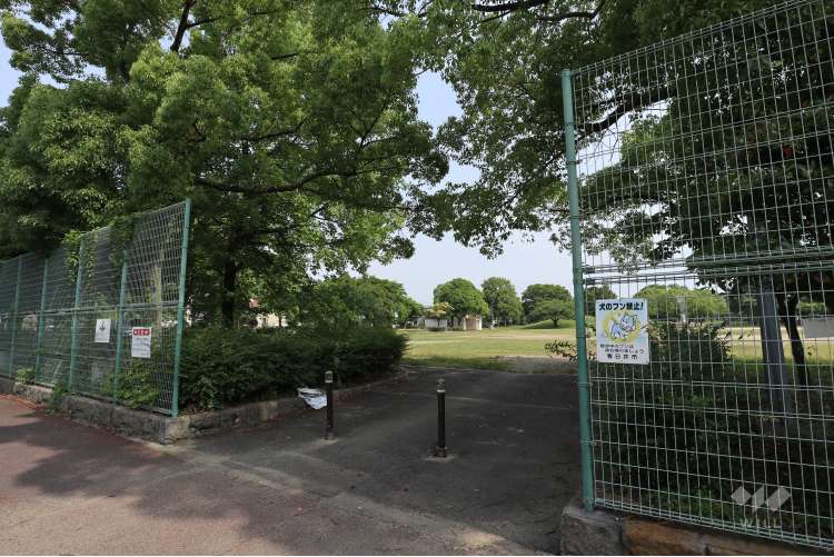 如意申公園の写真