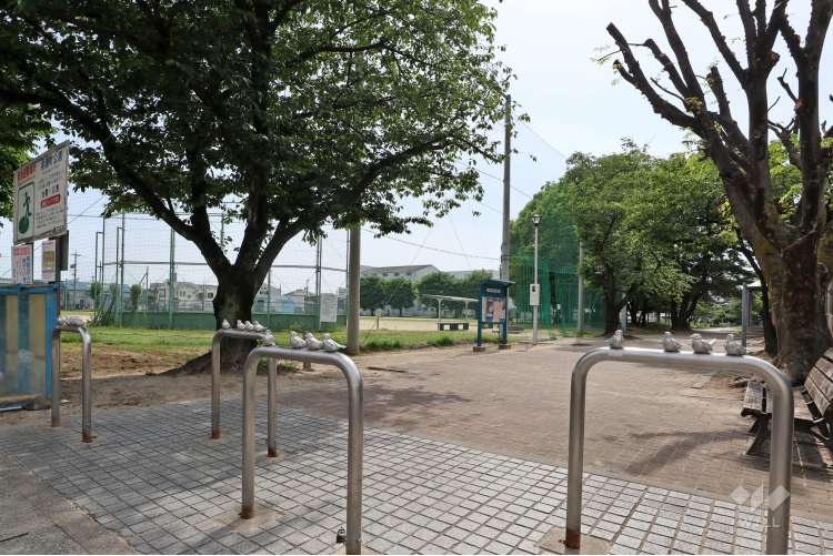 美濃町公園の写真
