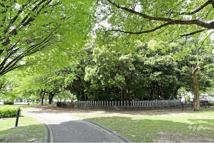 味美古墳群の写真