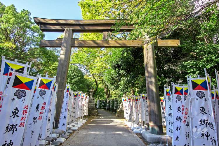 東郷神社の写真