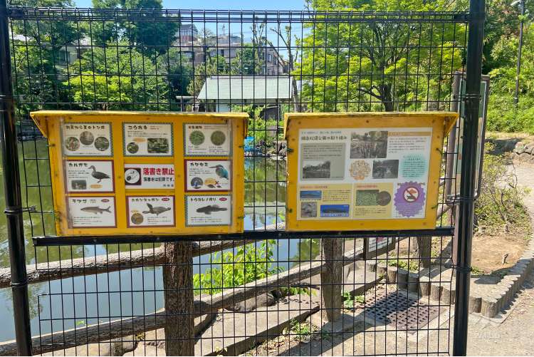 鍋島松濤公園の写真