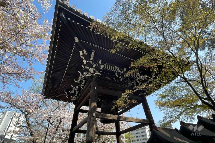 麻布山 善福寺の写真