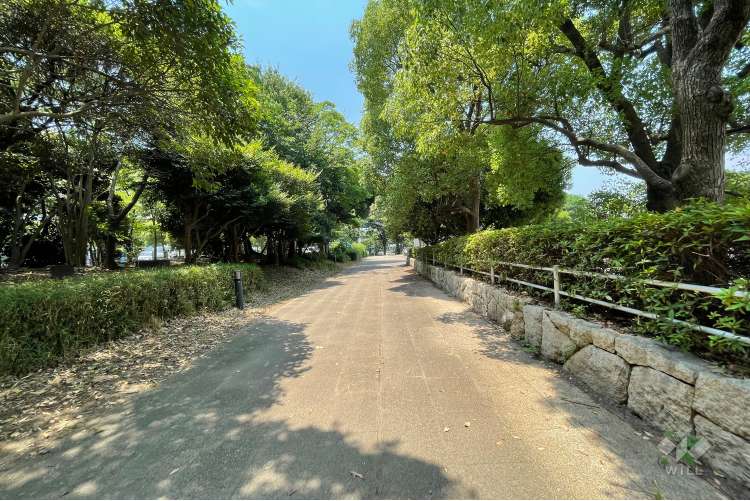 お台場海浜公園・台場公園の写真