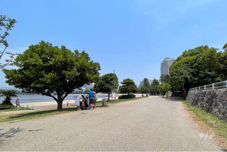 お台場海浜公園・台場公園の写真