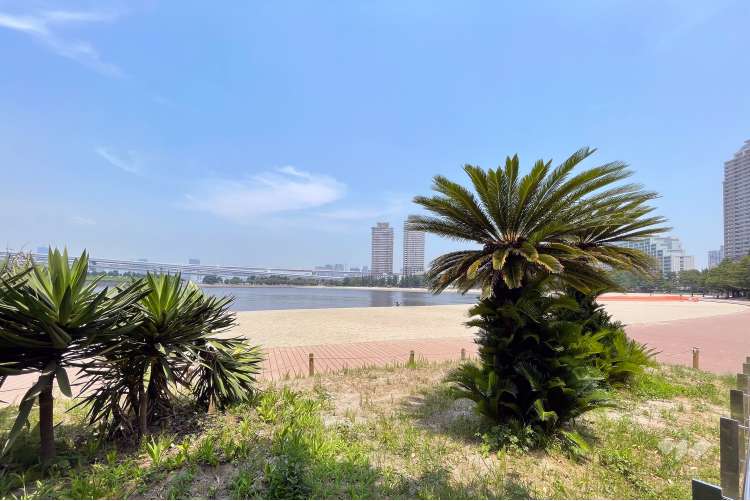 お台場海浜公園・台場公園の写真