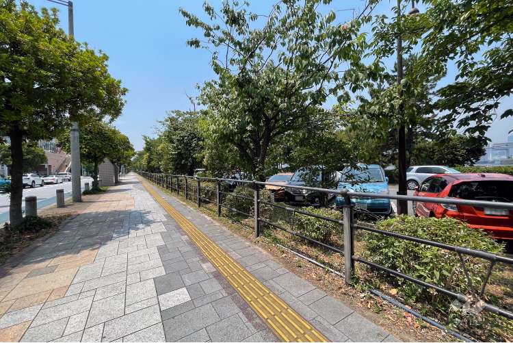 お台場海浜公園・台場公園の写真