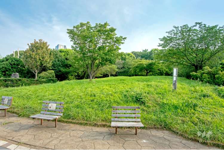 西郷山公園 の写真