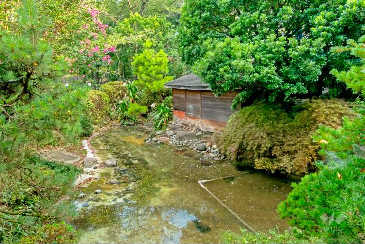 西郷山公園 の写真