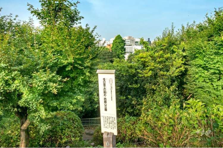 西郷山公園 の写真