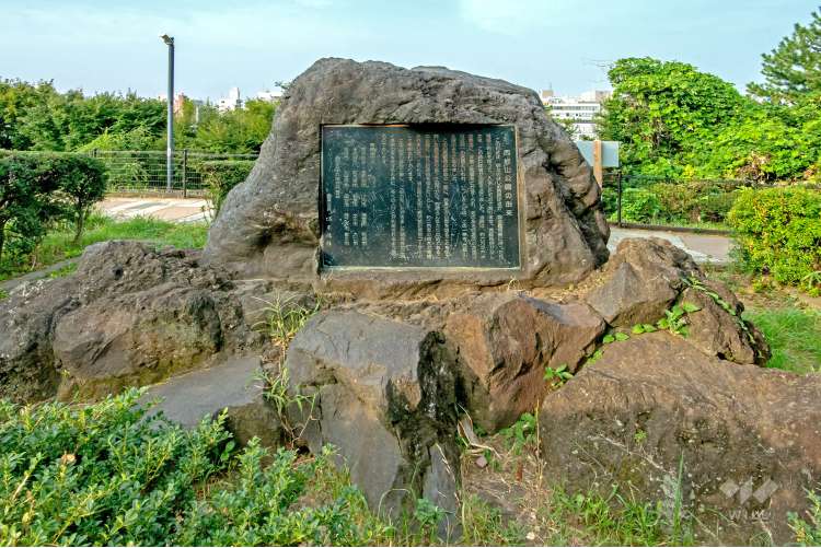西郷山公園 の写真