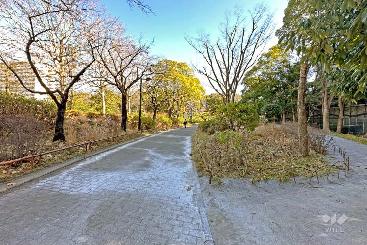 八潮公園の写真