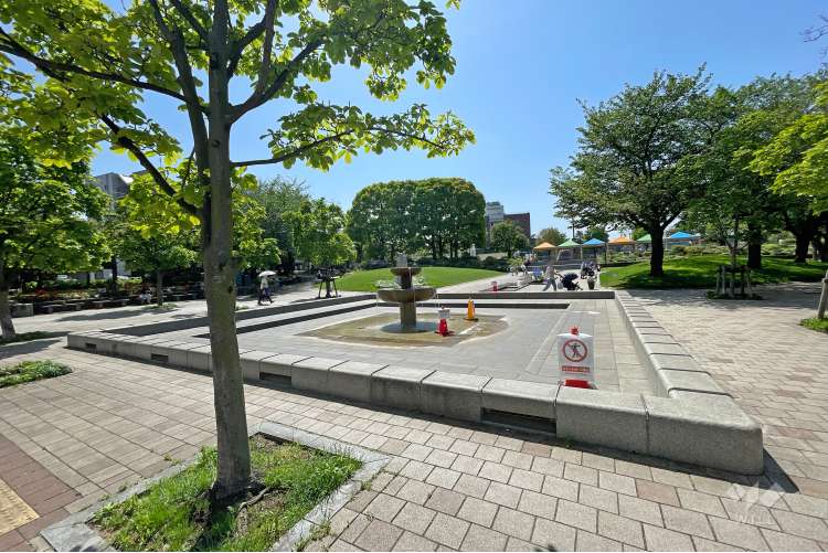 しながわ中央公園の写真