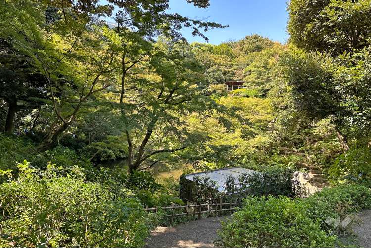 池田山公園の写真