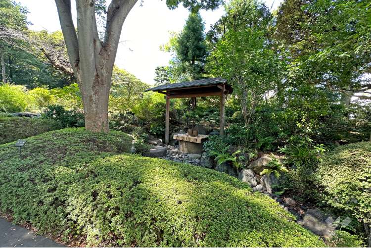 池田山公園の写真