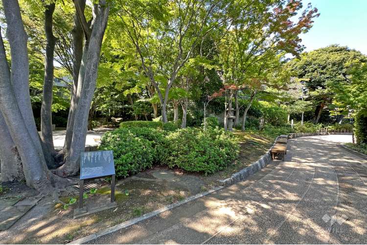 池田山公園の写真