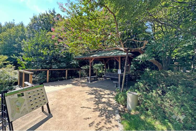 池田山公園の写真