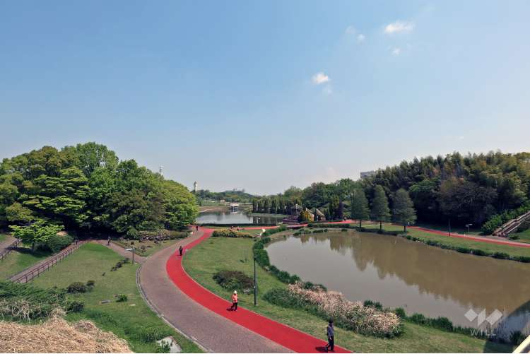 あいち健康の森公園の写真