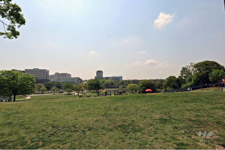 あいち健康の森公園の写真