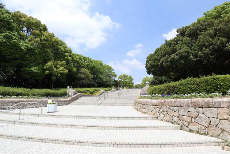 大府みどり公園の写真