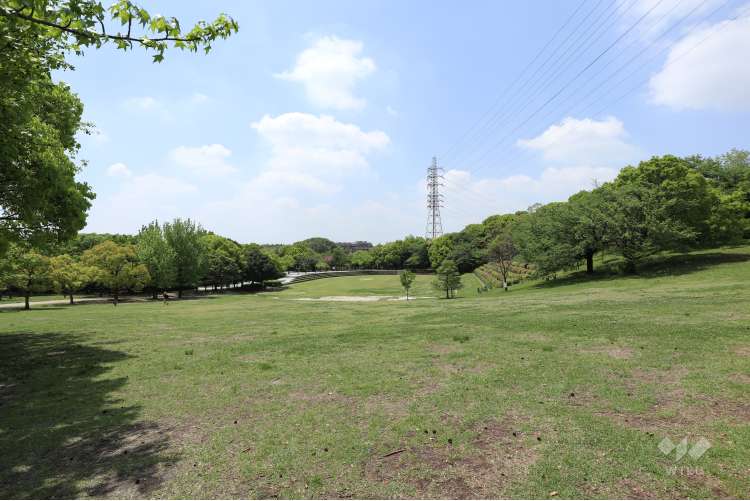 大府みどり公園の写真