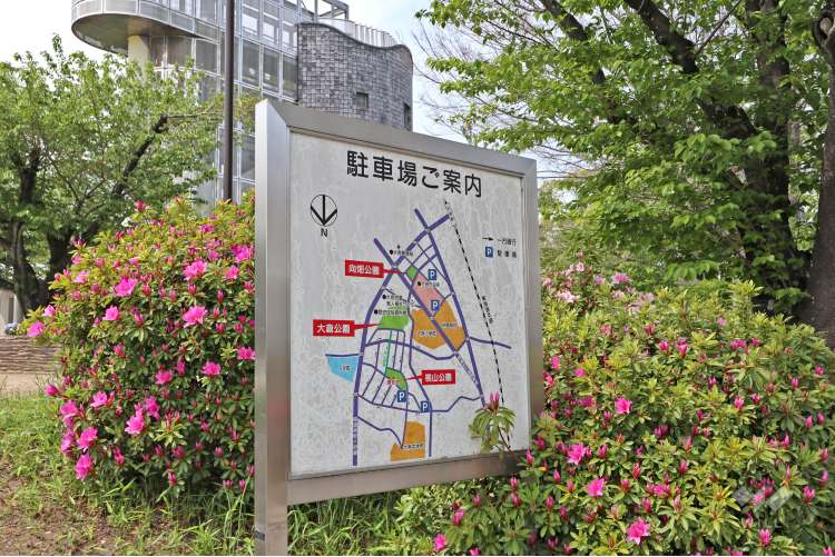 桃山公園の写真