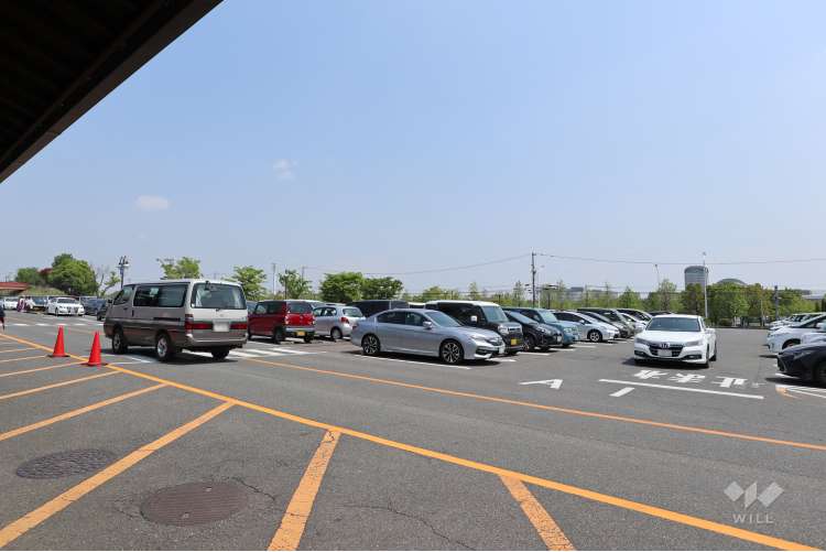 天然温泉めぐみの湯の写真