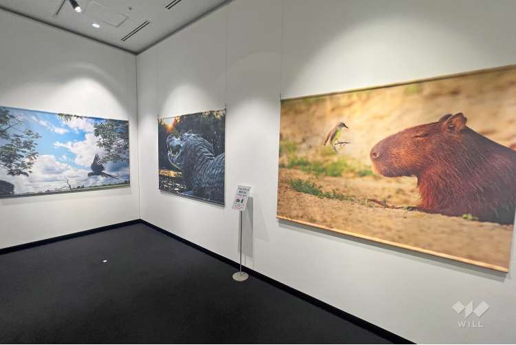 東京都写真美術館の写真