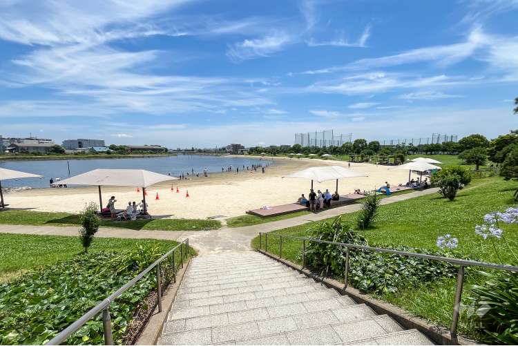 大森ふるさとの浜辺公園の写真