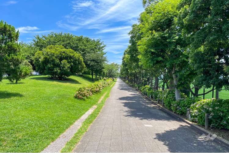 大森ふるさとの浜辺公園の写真