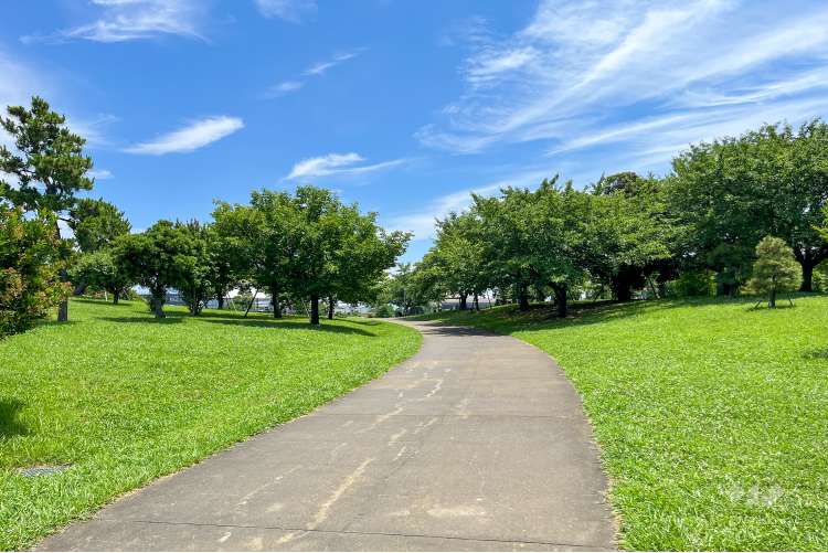 大森ふるさとの浜辺公園の写真
