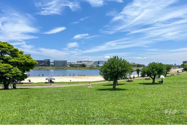 大森ふるさとの浜辺公園の写真