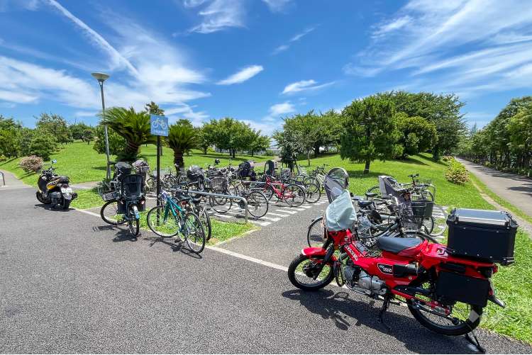 大森ふるさとの浜辺公園の写真