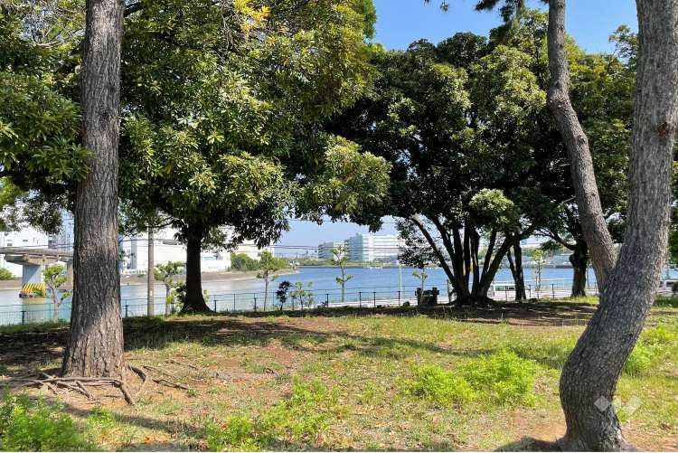 昭和島二丁目公園の写真