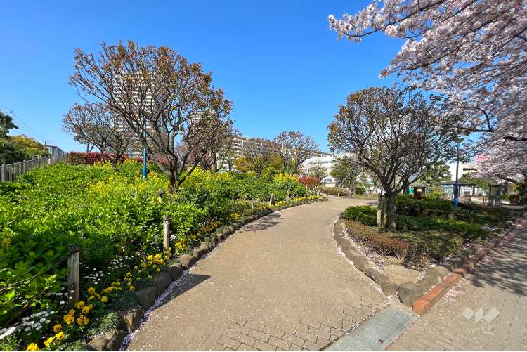 下丸子公園の写真