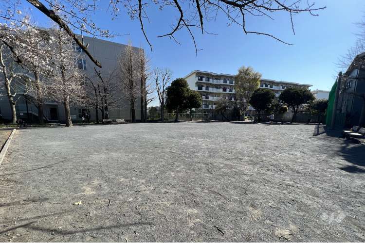 平間公園の写真