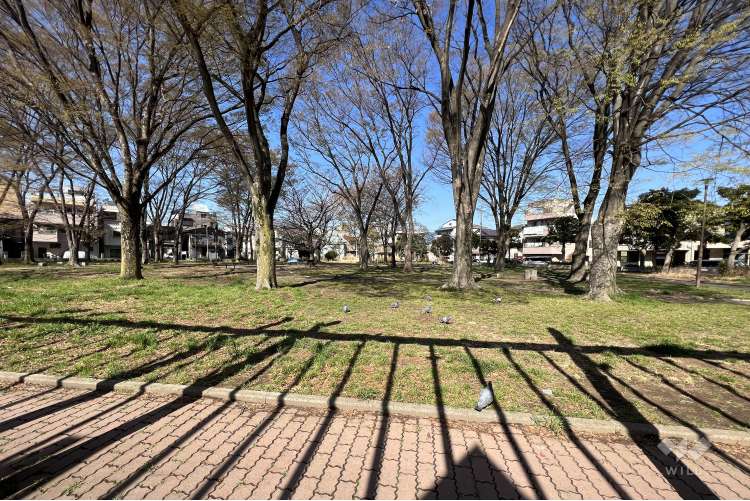 平間公園の写真
