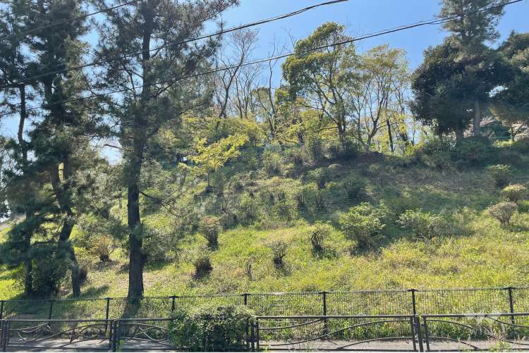 梶が谷第二公園の写真