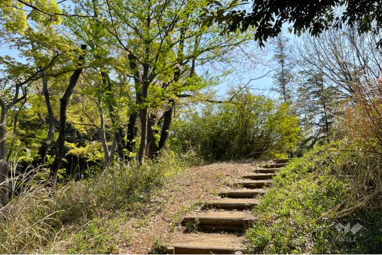 梶が谷第二公園の写真